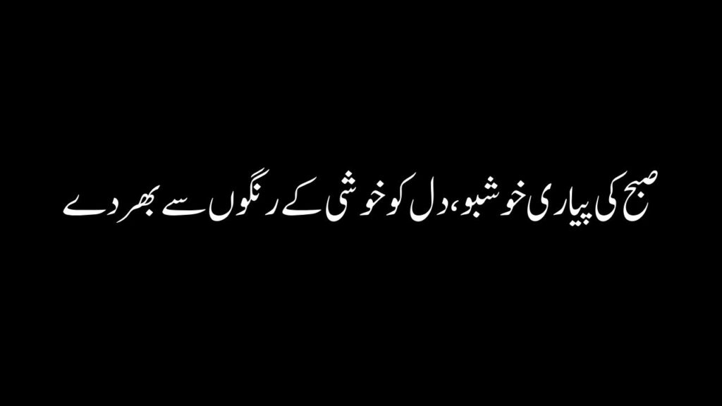 Good Morning Quotes In Urdu Text