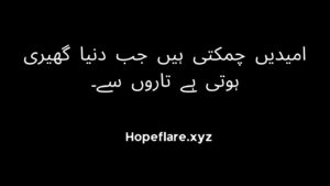 expectations quotes in urdu