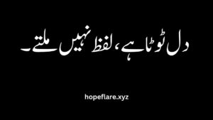 one  line  sad  quotes  in  urdu